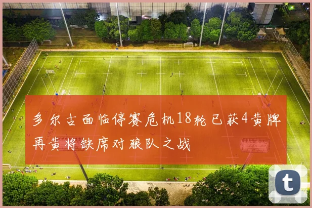 多尔古面临停赛危机18轮已获4黄牌再黄将缺席对狼队之战