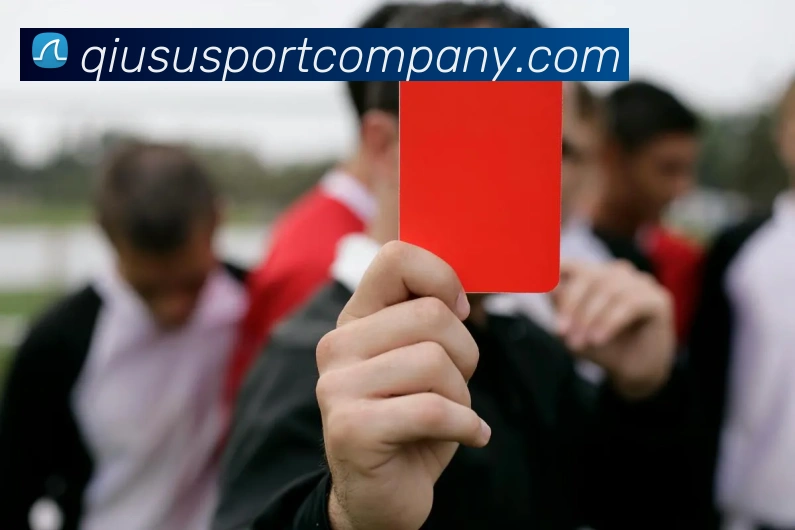 球速体育APP 封面图